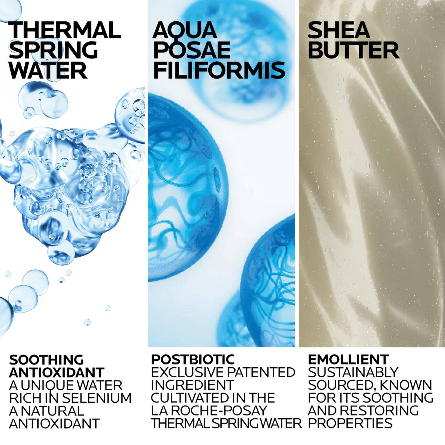 lipikar-wash-ap-moisturizing-body-and-face-wash-t6 Lipikar-Wash-ingredients_1500x1500-REV.jpg